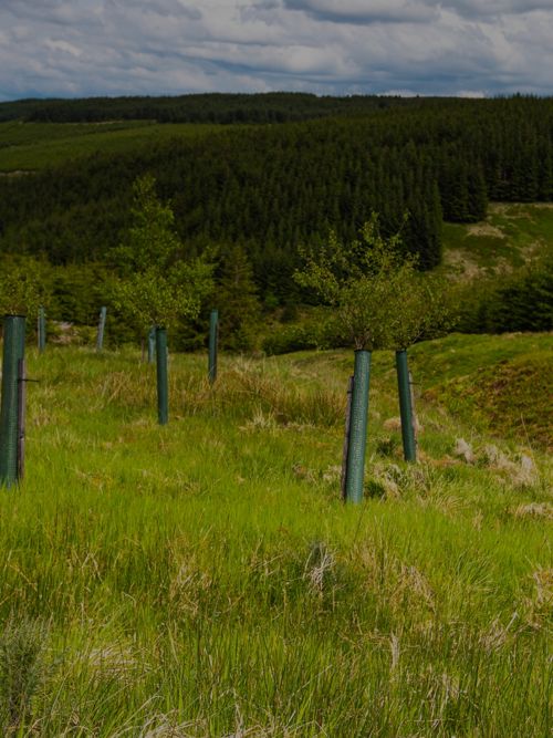 Tech for nature: the power of