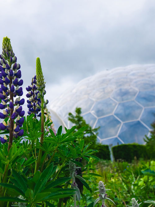 Supporting biodiversity and nature alongside the