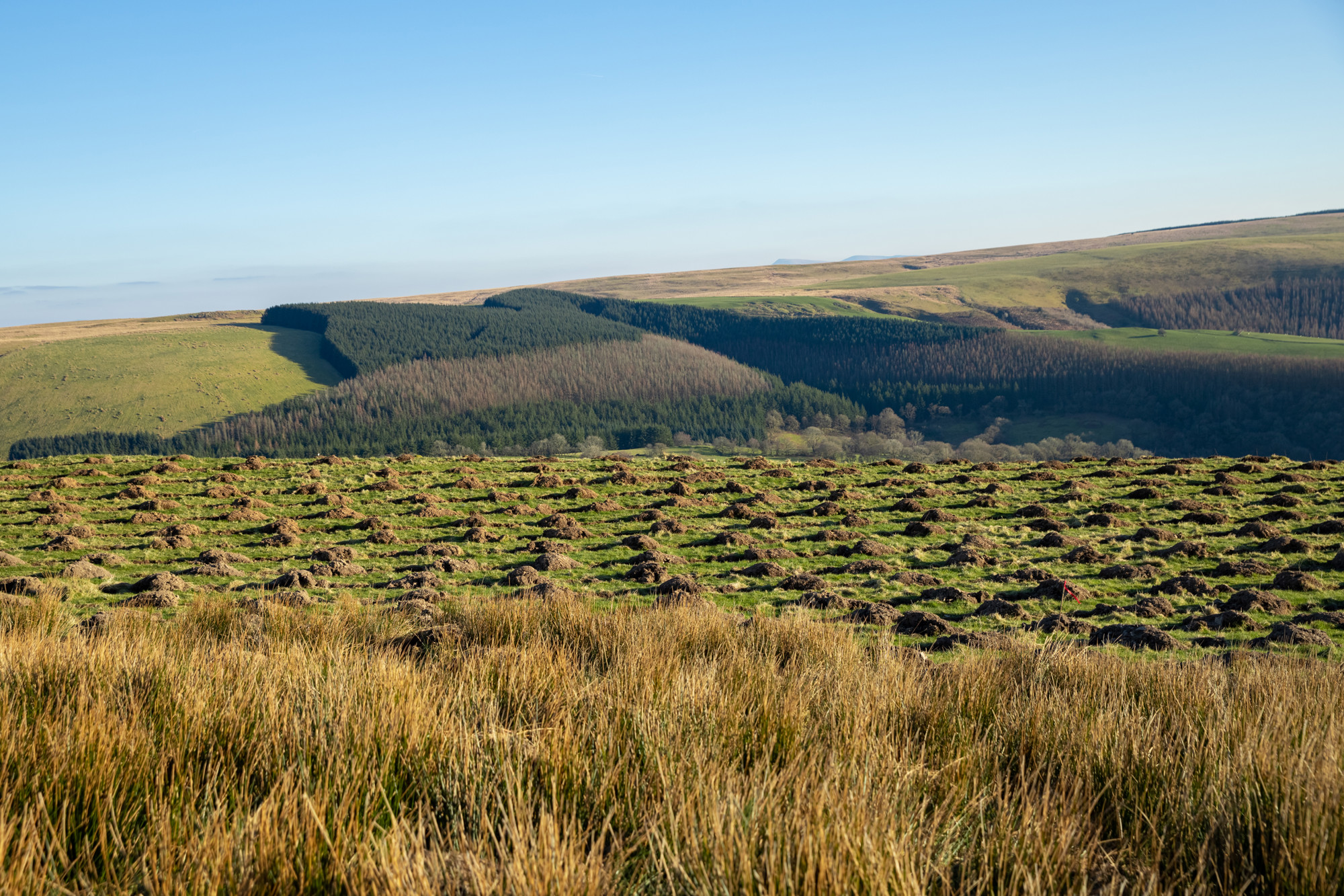 Natural Capital Horizons: Aligning capital, communities and policy