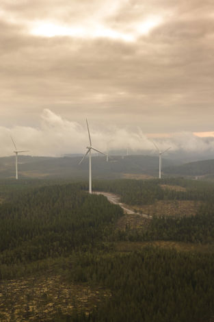 Our approach to nature recovery at Skaftåsen and Kölvallen