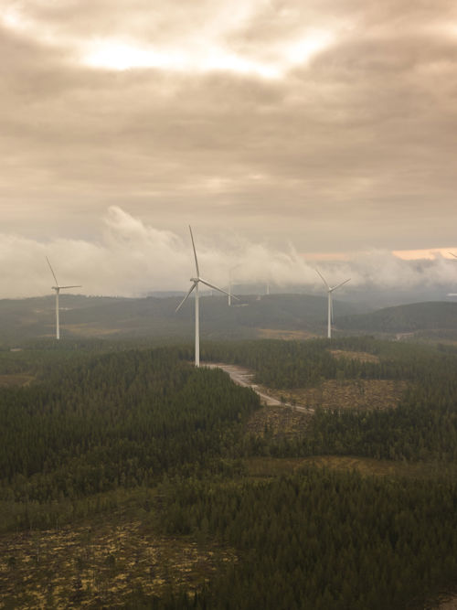 Our approach to nature recovery at Skaftåsen and Kölvallen